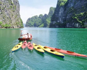 VIETNAM MAJESTY